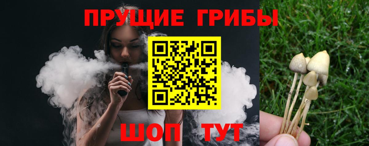 Галлюциногенные грибы Psilocybine cubensis  закладка  Галлюциногенные грибы MAGIC MUSHROOMS  Барабинск  Вход с VPN 